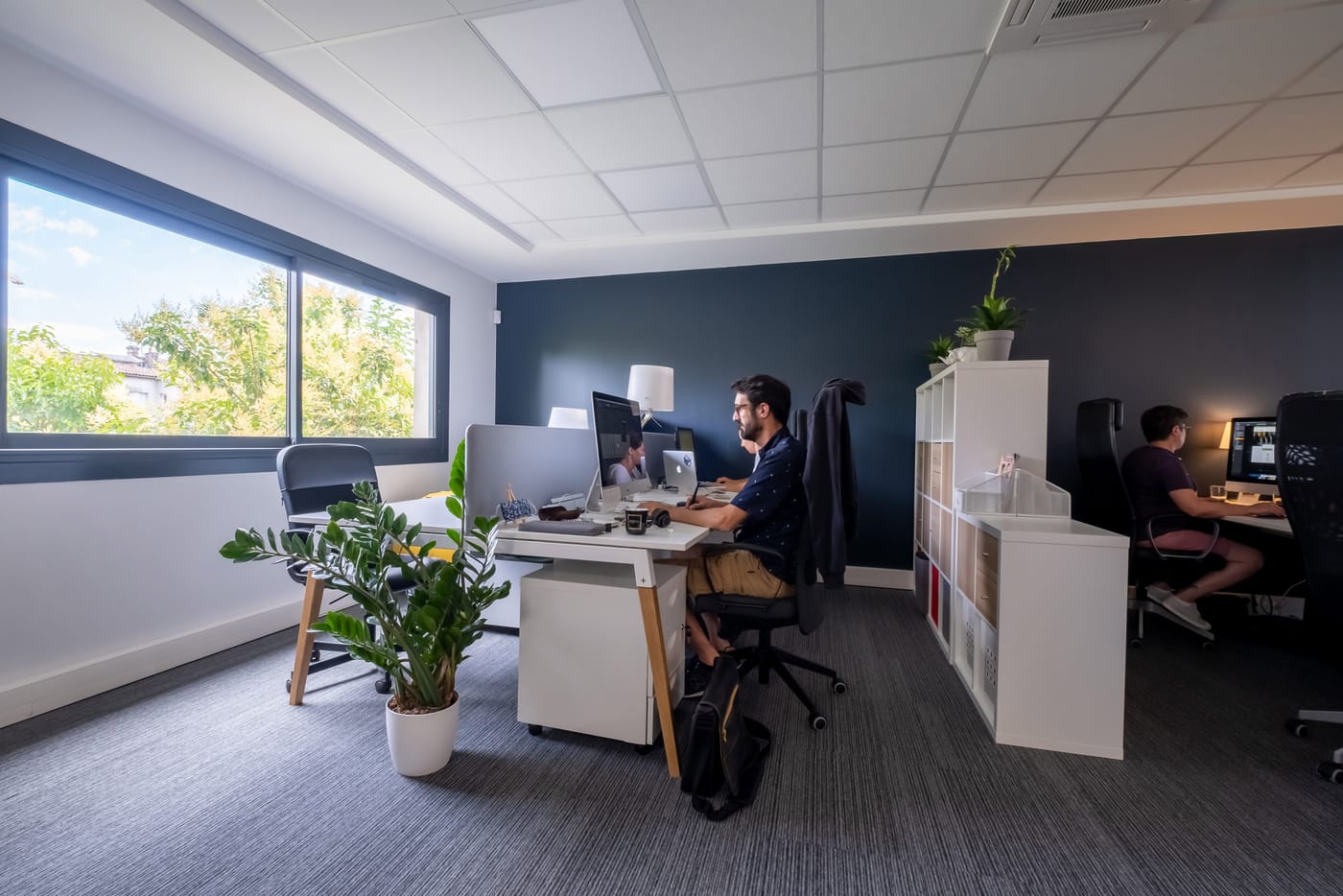Coworkers travaillant sur ordinateur dans un bureau lumineux avec plante verte et vue sur des arbres