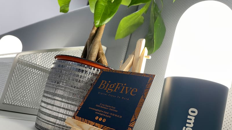 Carte de visite BigFive posée près d'une plante verte sur un bureau de coworking
